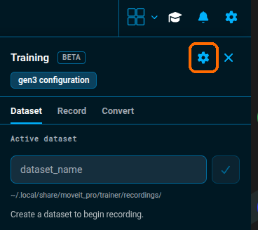 The Training panel's Dataset tab, with the Training Config gear highlighted