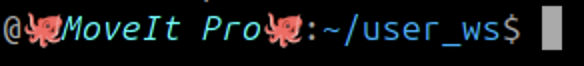 Shell Prompt