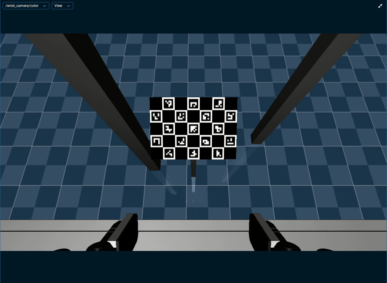 The wrist camera pane at the Home waypoint, with the whole board near the middle of the image